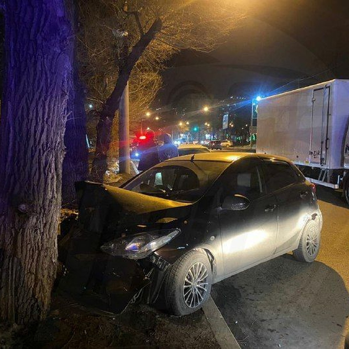 Во Владивостоке малолитражка после столкновения с грузовиком улетела в  дерево - KP.RU