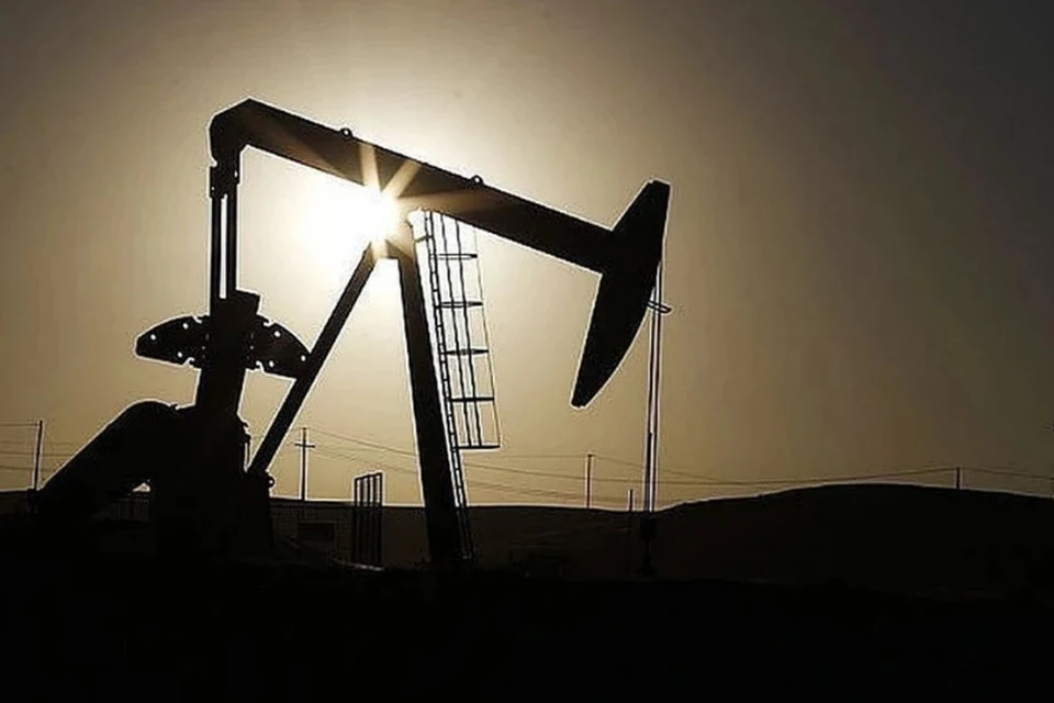 Казахстан начал отправку нефти по нефтепроводу «Дружба» до пункта сдачи нефти «Адамова застава». Снимок носит иллюстративный характер. Фото: REUTERS