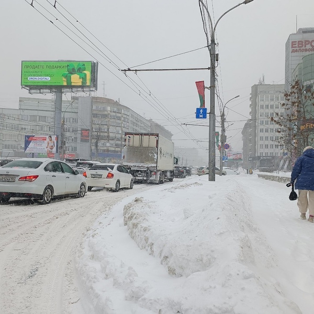 Новосибирск заметёт снежной бурей в последнюю неделю зимы - KP.RU