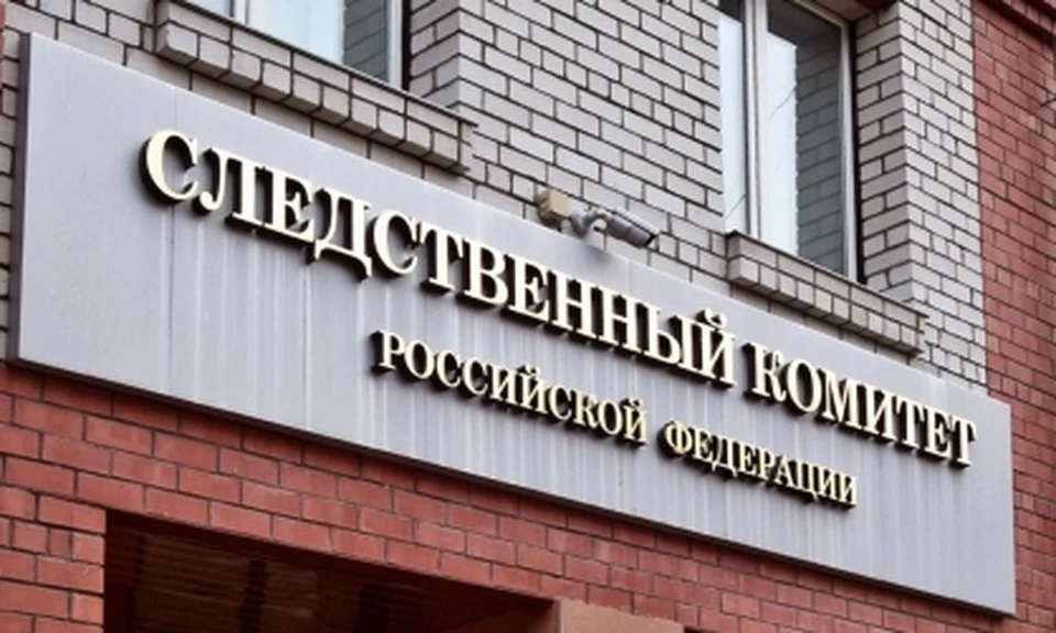Фото: https://amur.sledcom.ru/