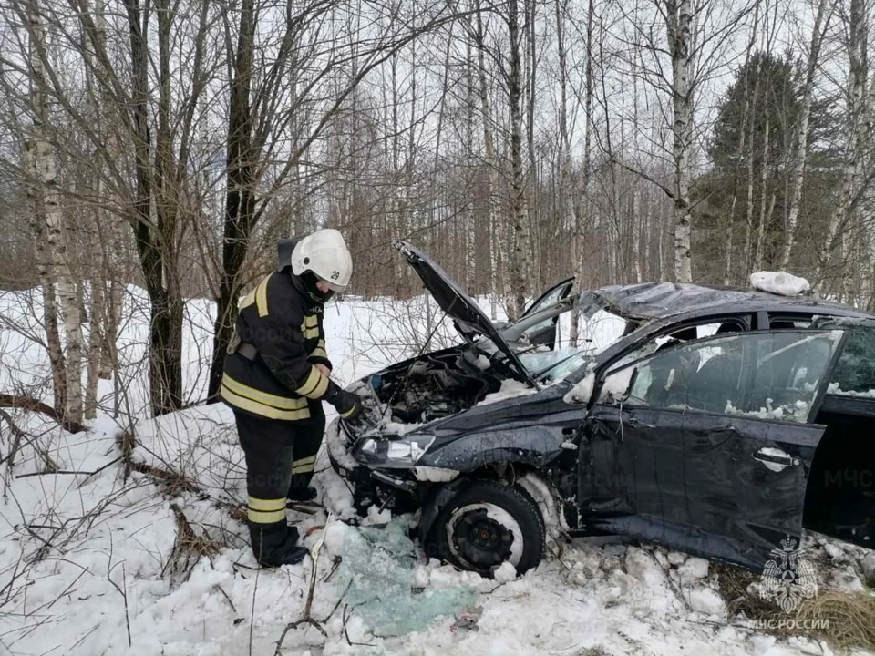 Подробности аварии рассказали в ГИБДД.