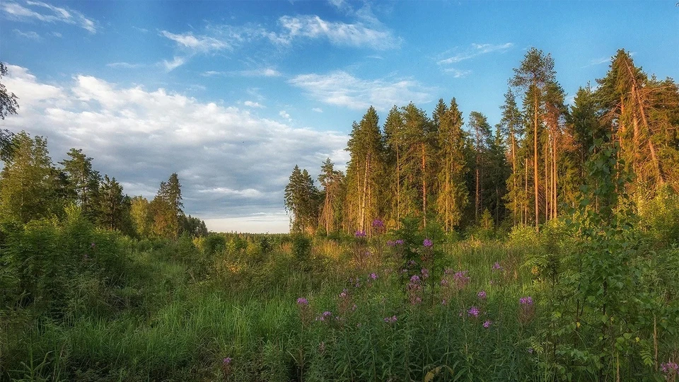 Источник: kostromatravel.ru