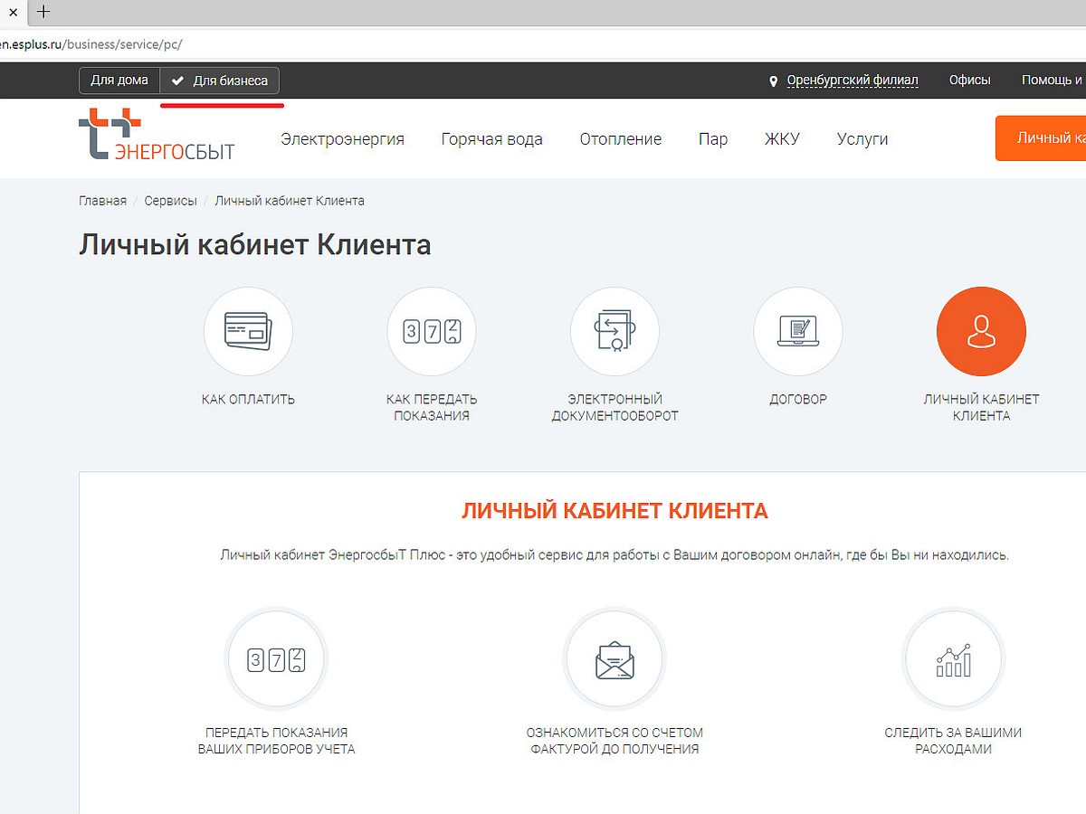 ЭнергосбыТ Плюс запустил личный кабинет по электроснабжению для  клиентов-юридических лиц Оренбургской области - KP.RU