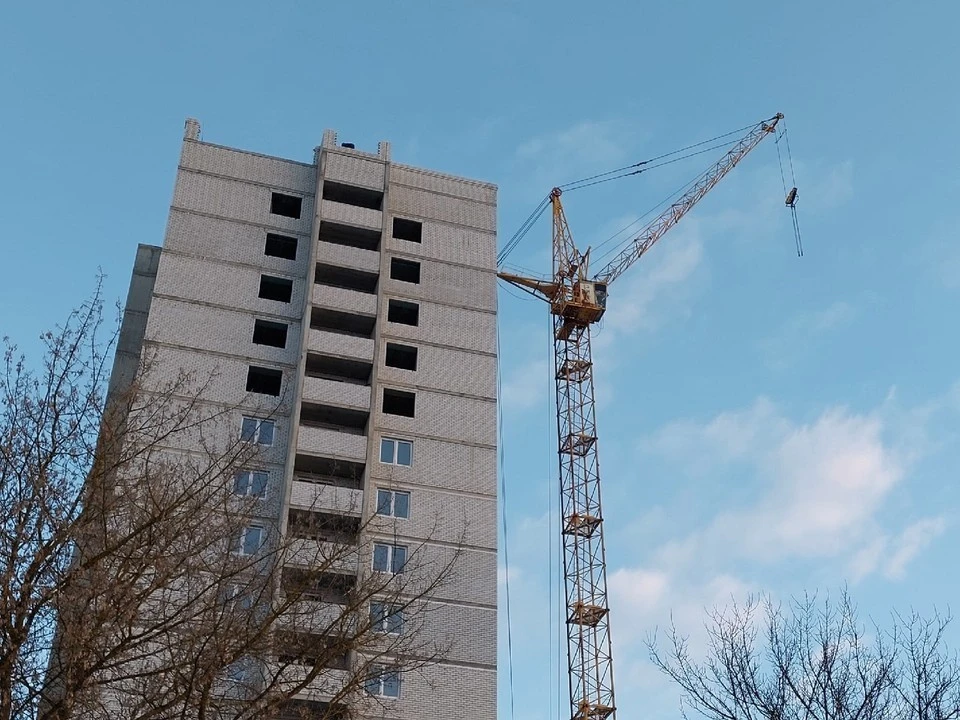 Фото: Ольга Супонева
