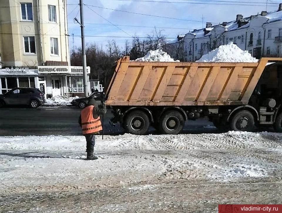 Фото: администрация города Владимира