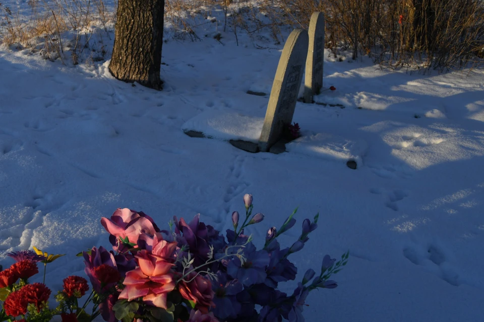 В Новосибирске проект санитарной зоны Клещихинского кладбища подорожал ...