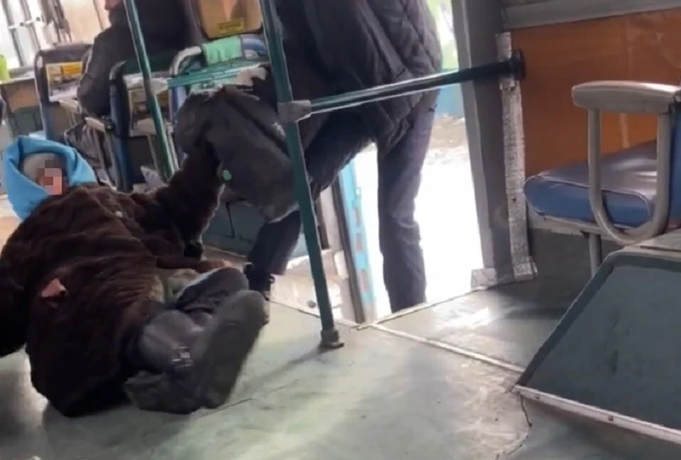 Прокуратура проведет проверку из-за видео с насилием над пассажиркой автобуса в Комсомольске Фото: скриншот из видео