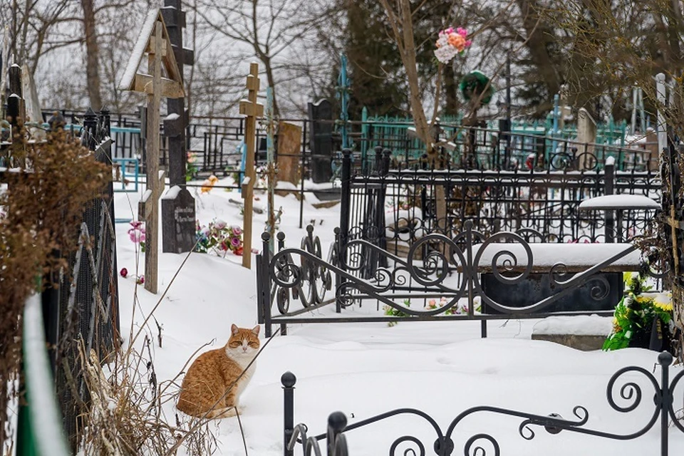 На кладбище Хабаровска устанавливают камеры видеонаблюдения из-за вандалов