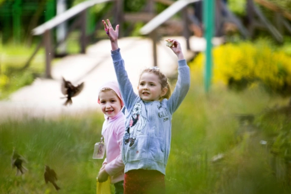 Летом в Кировской области будут работать 23 загородных детских лагеря.