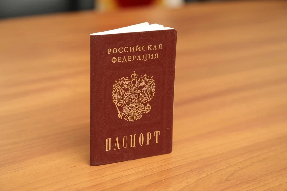 Политолог Федоров рассказал, как будут работать паспорта мобилизованных