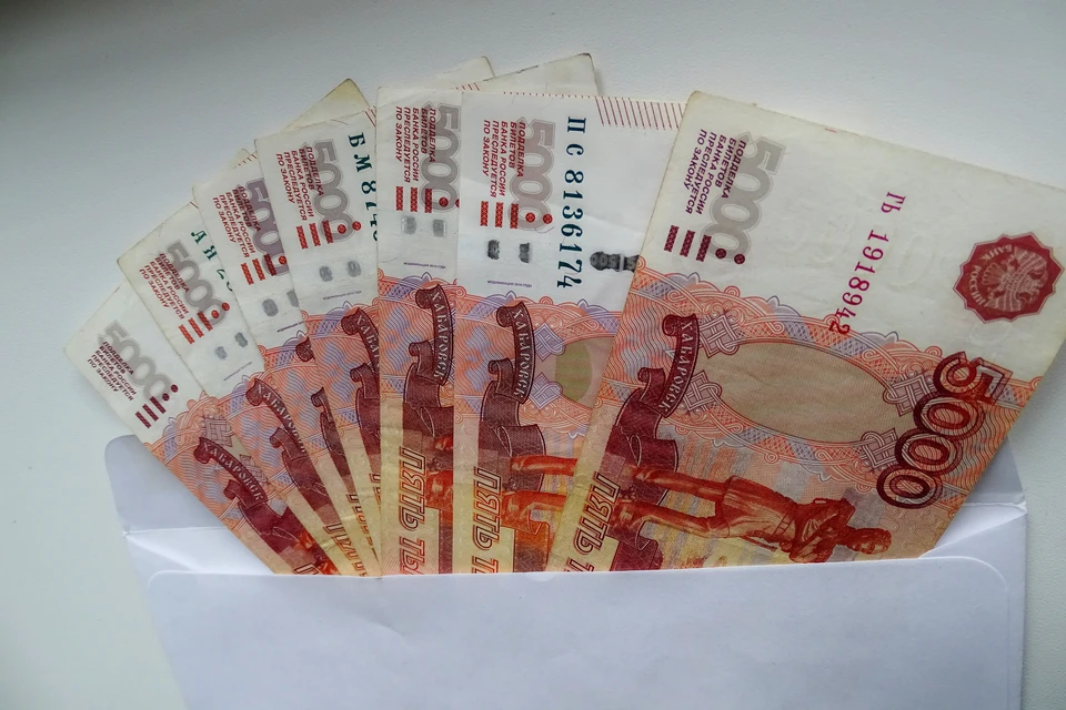 Под Липецком мошенница обманула многодетную семью на 103 тысячи рублей