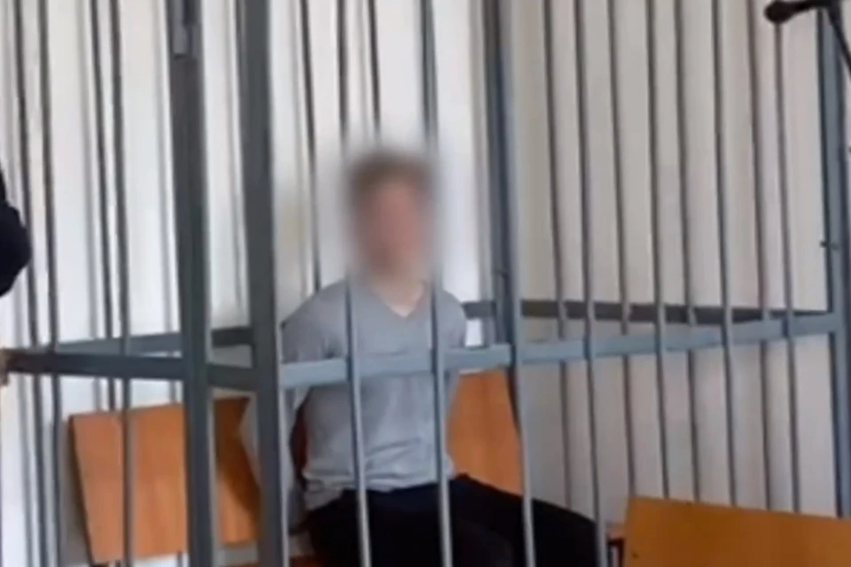 Суд арестовал обвиняемого в убийстве 16-леьней девушки в Подольске
