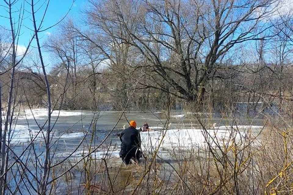 Пенсионерка провалилась под лед на реке Воронеж в Липецке