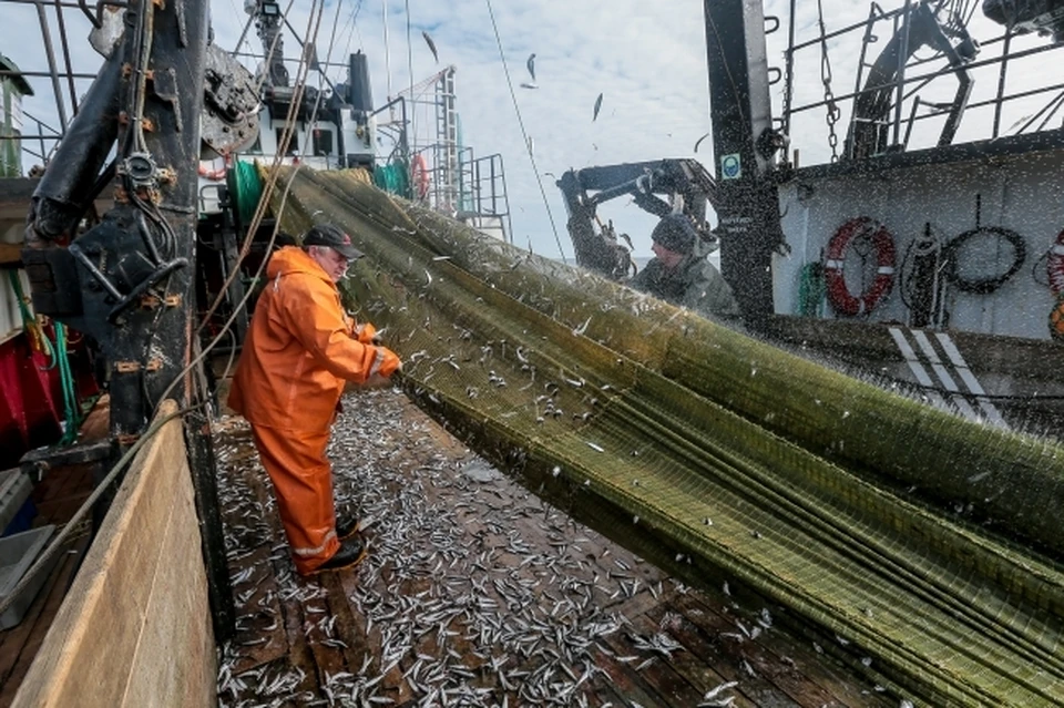 Сахалинским рыбопромышленникам придется побороться за квоты