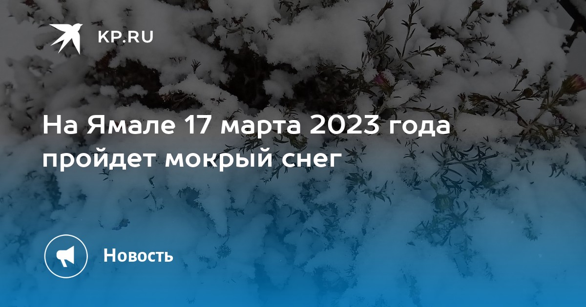 Салехард снег. Ветер на Ямале. Какая погода будет послезавтра. Град в 2023 году.