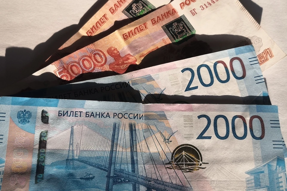 С начала года липанам с детьми выплатили по единому пособию более 240 миллионов рублей
