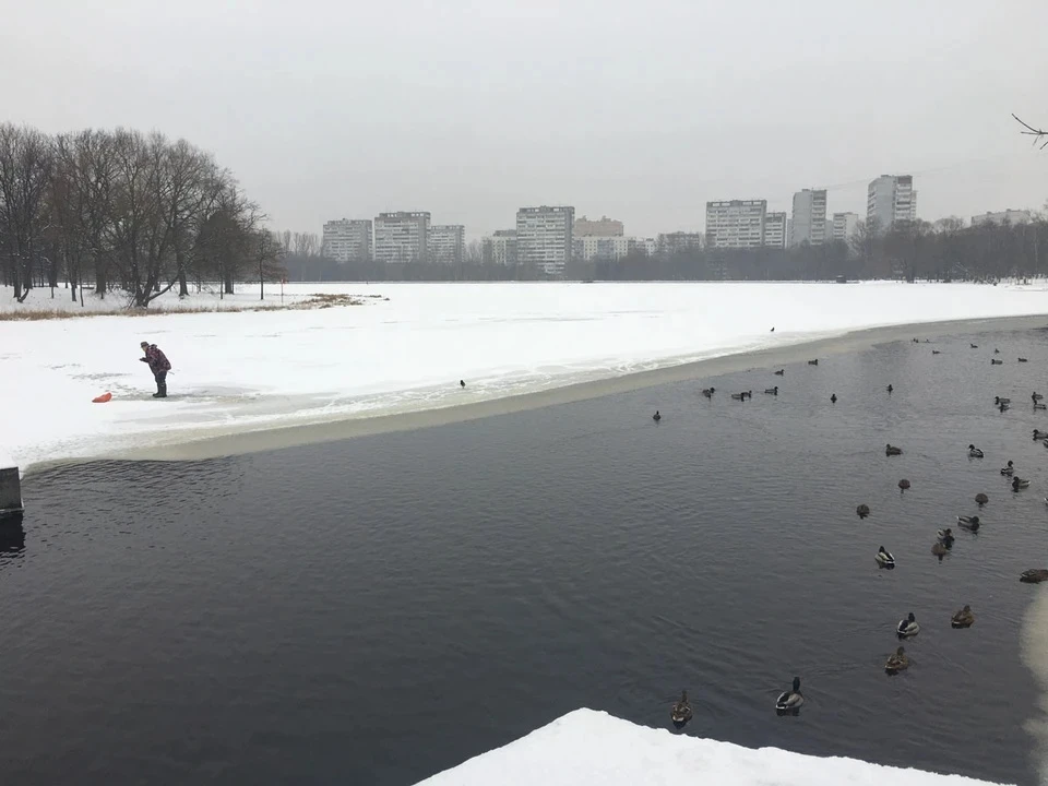 В Москве усилили контроль безопасности на реках и водоемах