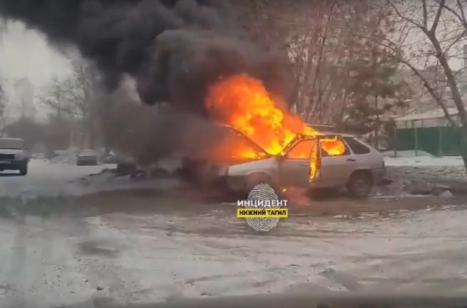 Фото: скриншот с видео