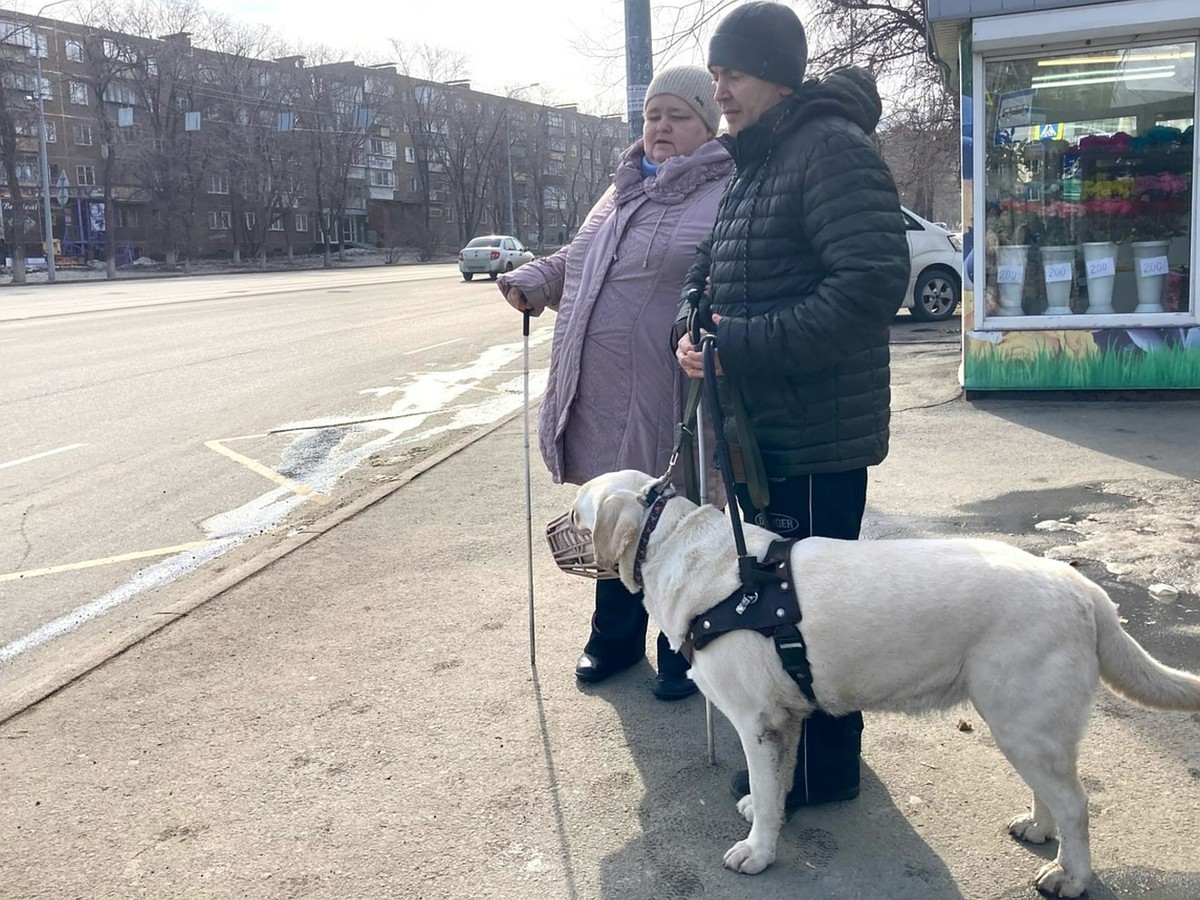 Слепоглухого челябинца и его незрячую жену высаживают из маршруток из-за  собаки-поводыря - KP.RU