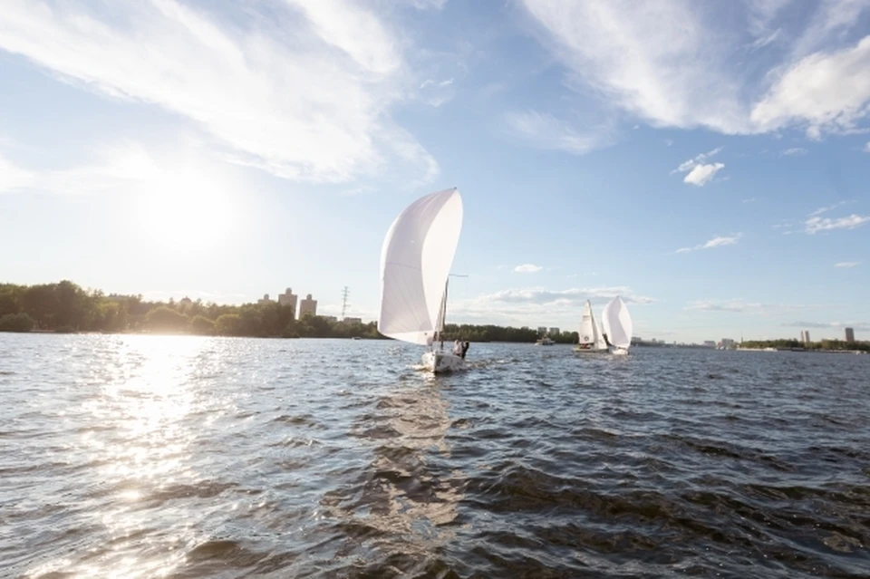 Фото: архив КП