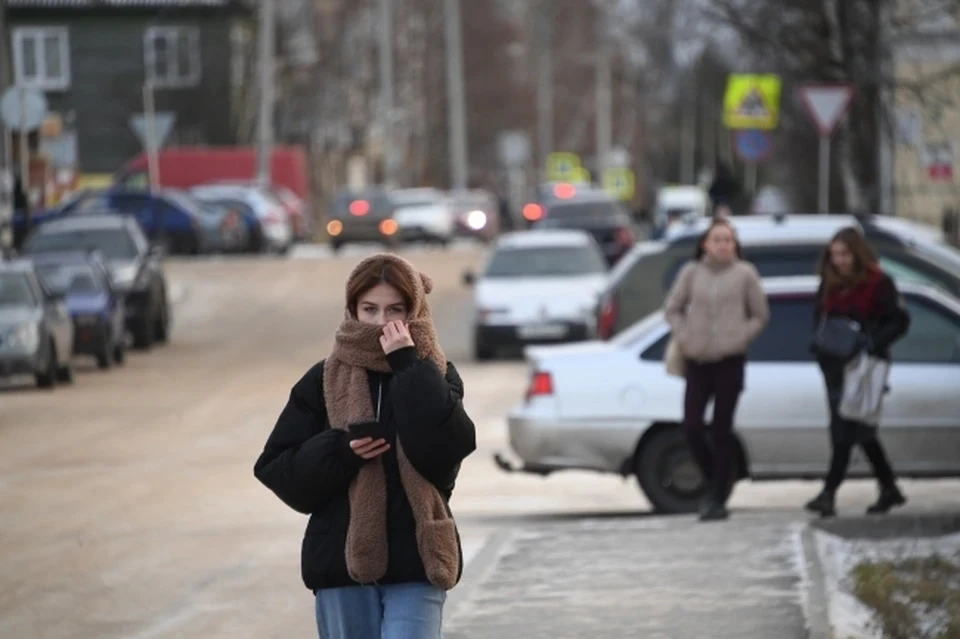 В середине недели в Москву вернутся ночные заморозки