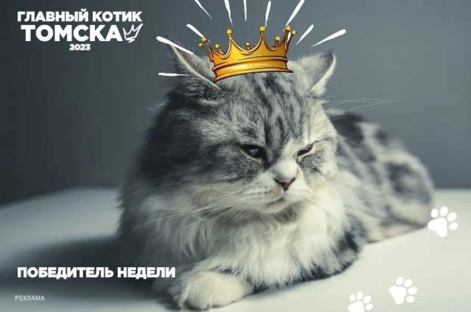Фото: "АиФ-Томск"