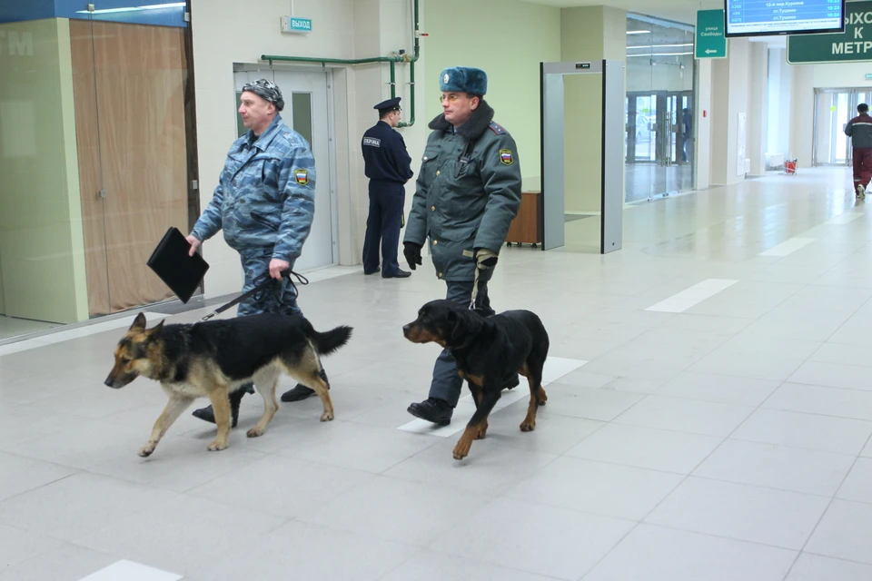Колледжи и техникумы вновь эвакуируют в Нижегородской области 27 марта.