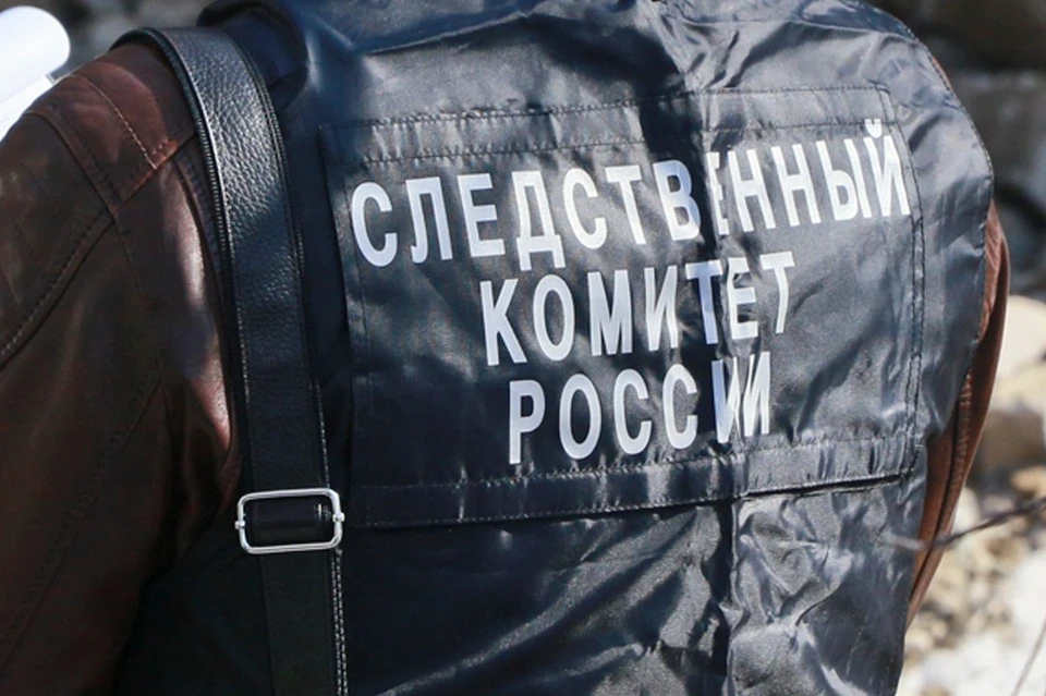 Решается вопрос о заключении подозреваемой под стражу