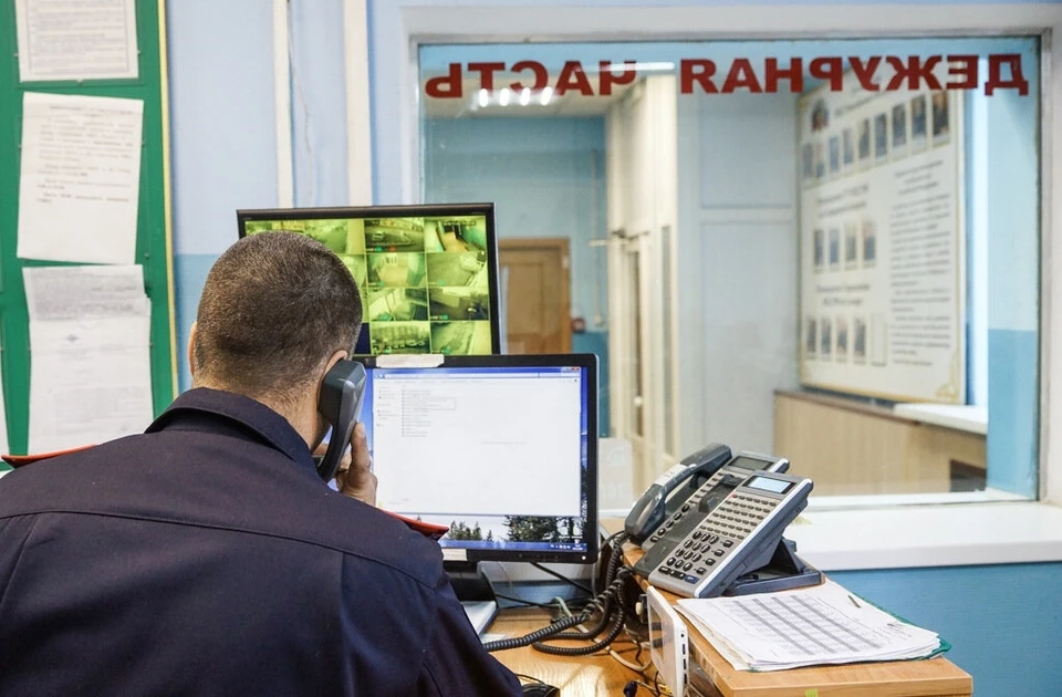 Полицейские проводят проверку