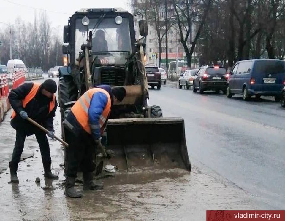 Фото: администрация города Владимира