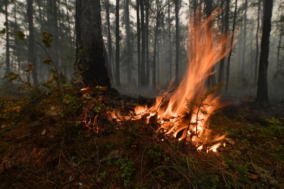С наступлением весны в Челябинской области вырос риск возникновения лесных пожаров
