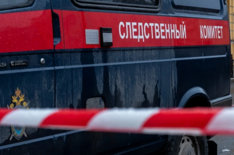 По результатам проверки следователи будут принимать решение о дальнейшем процессе.