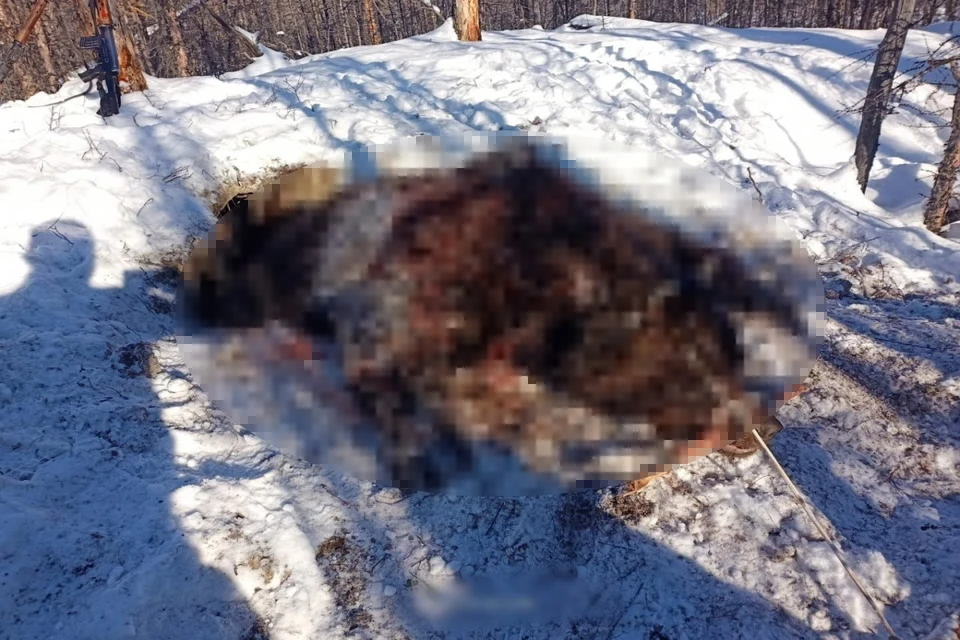 Фото и видео: sakhahunter
