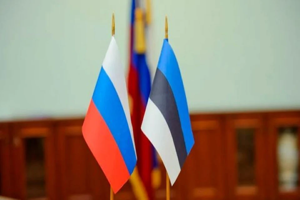 Россия расторгла соглашение с Эстонией о сотрудничестве в таможенных делах Фото: пресс-служба Общественного совета при ФТС России