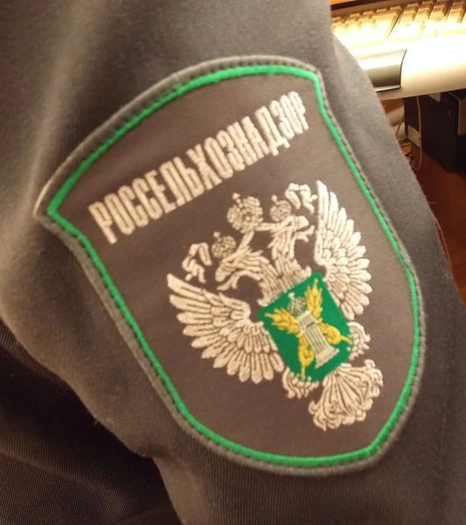 Земельный надзор россельхознадзора. Государственный земельный надзор. Государственный земельный надзор герб. Отдел государственного земельного надзора. Россельхознадзор.
