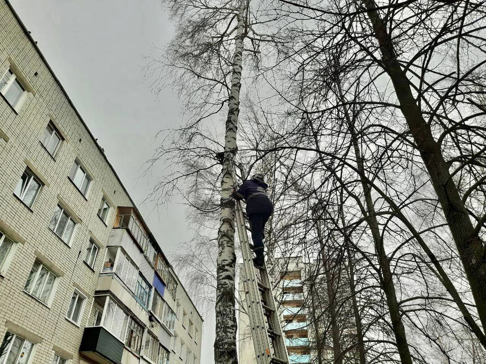 ФОТО: телеграм-канал «Управления гражданской защиты Ульяновска»