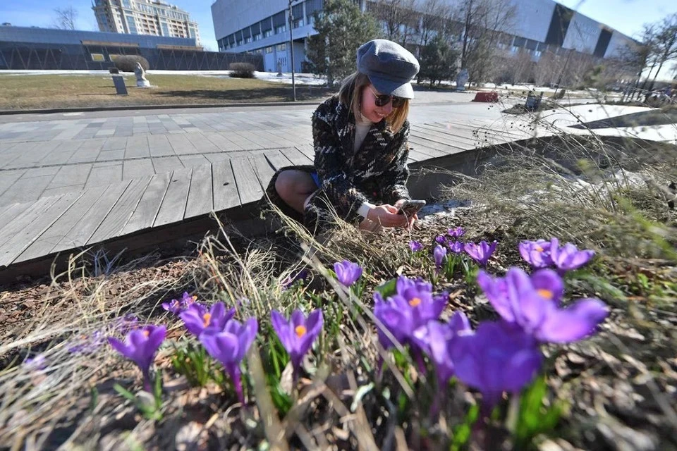 В Москве новая рабочая неделя начнется с сухой и солнечной погоды