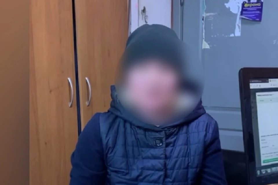 Пенсионерка в Иркутской области попала в сети мошенников, покупая продукты в мессенджере