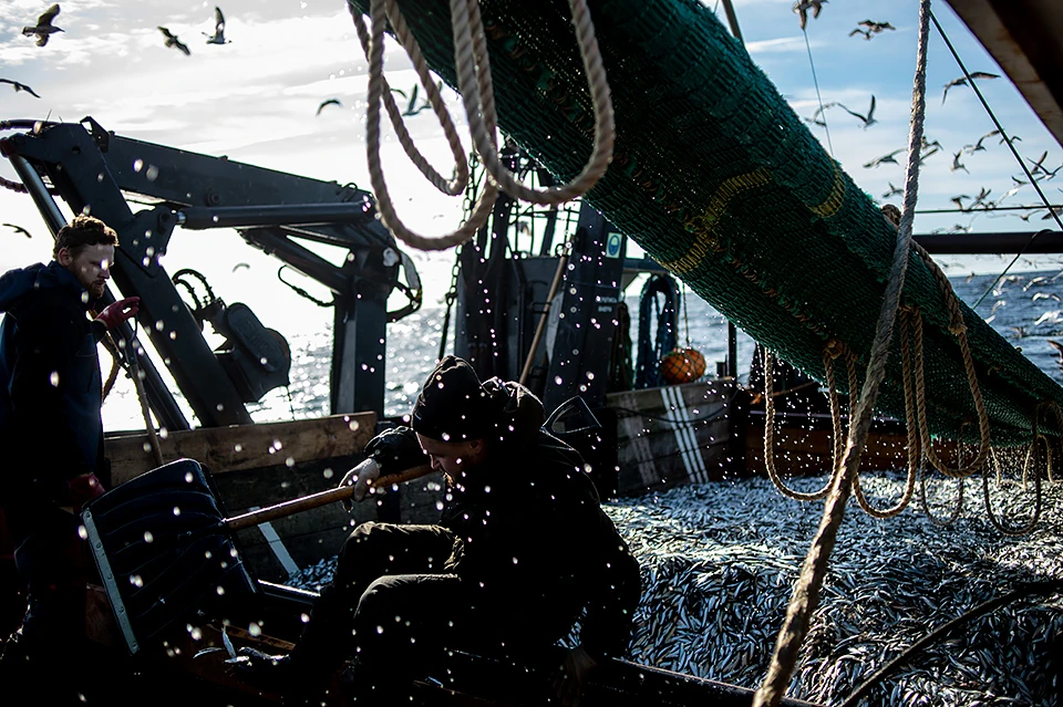 Рыбаки столкнулись с проблемами из-за санкций, но пока их влияние нельзя назвать критичным. [снимок носит иллюстративный характер]