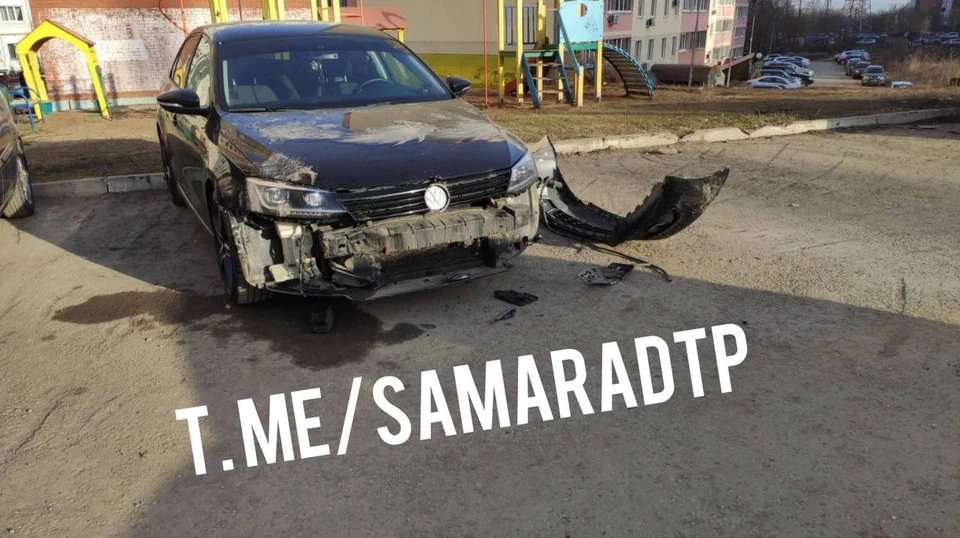 Псы напали на машину. Фото: "Самара ДТП"
