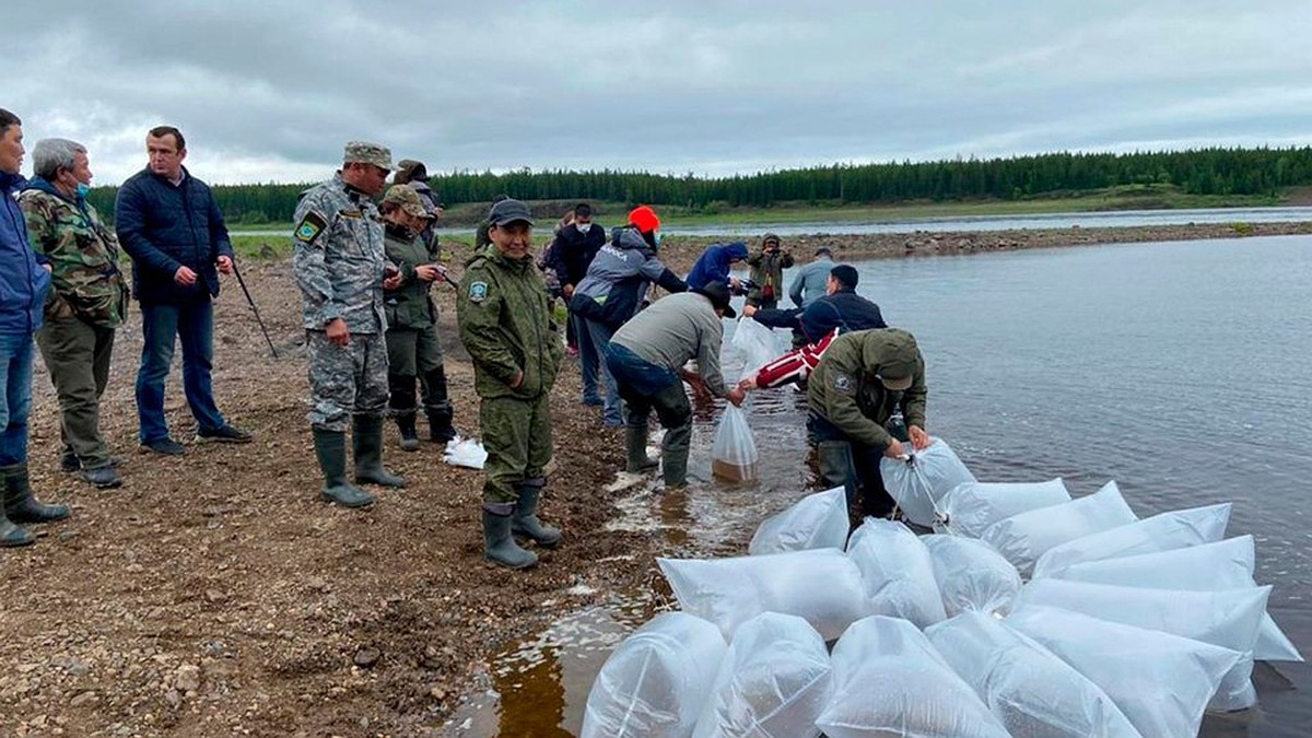 В АЛРОСА рассказали, как инвестируют в «зеленые» проекты - KP.RU