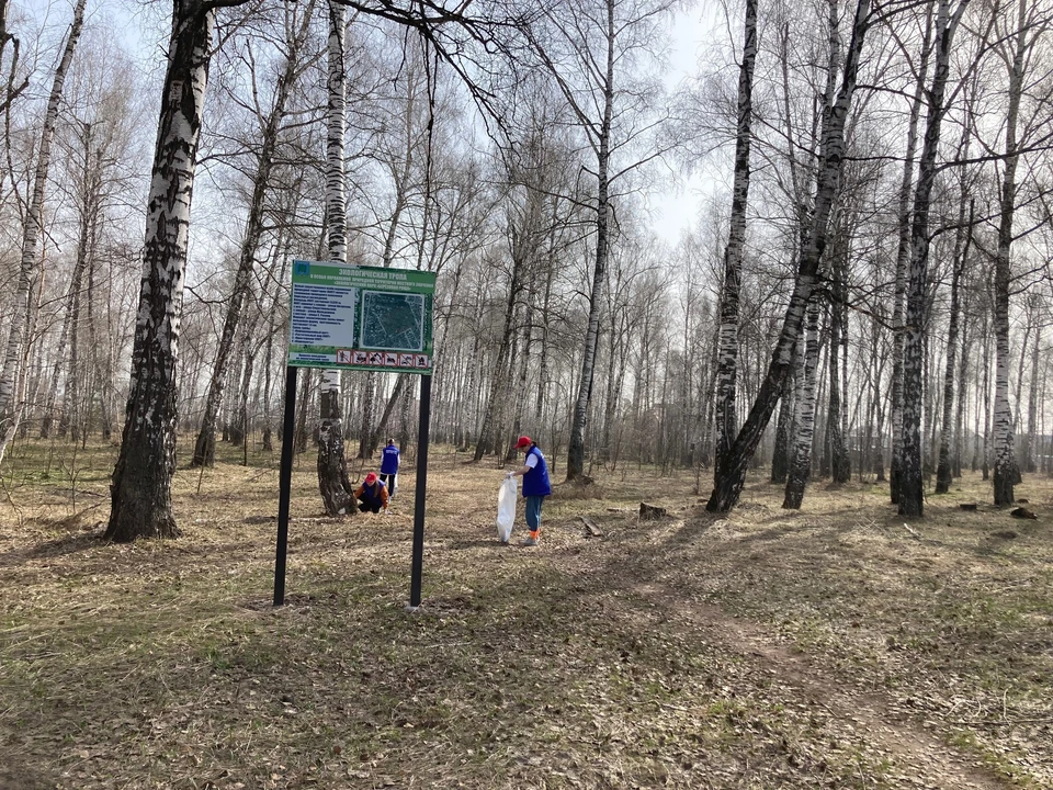 ФОТО: группа в ВК администрации города Димитровграда