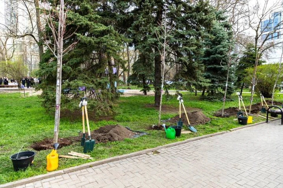 В Покровском сквере высдадили саженцы деревьев. Фото: администрация Кировского района города