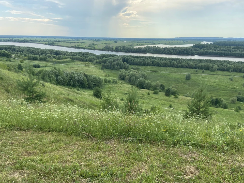 Главным источников вируса являются водоплавающие птицы.