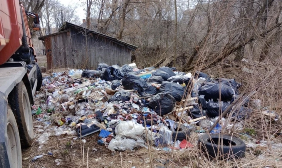 В Смоленске убрали 16-тонную свалку. Фото: региональный оператор ТКО.