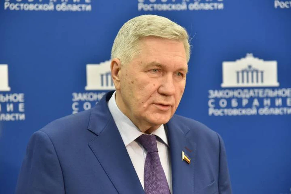 В донском парламенте под руководством Сергея Михалева прошло заседание комитета. Фото: пресс-служба ЗС РО