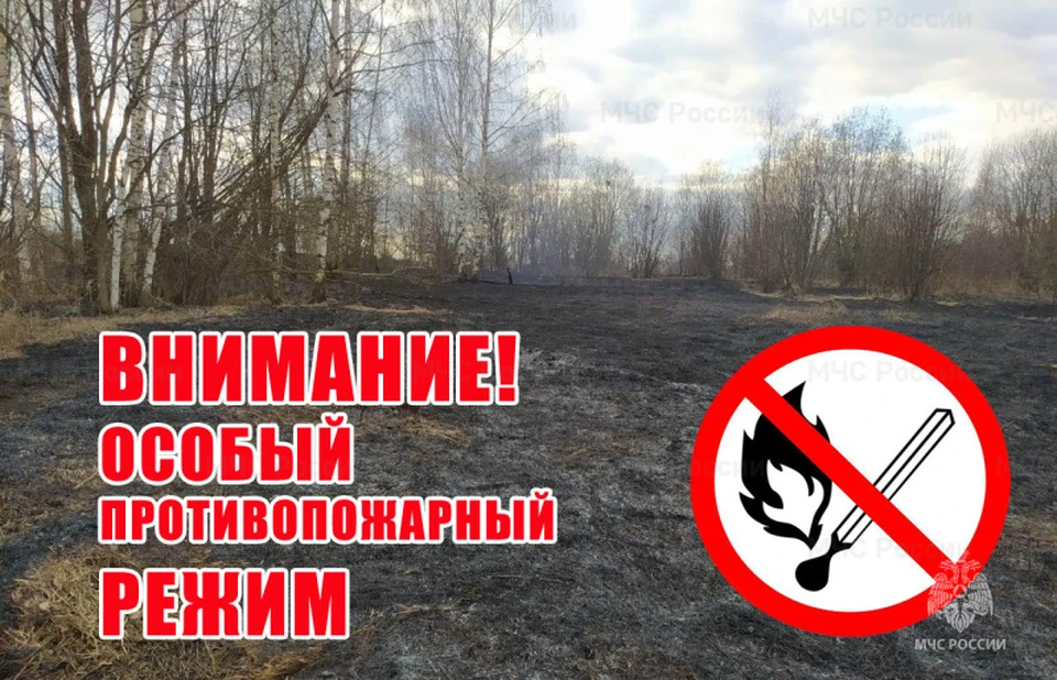 Фото: пресс-служба ГУ МЧС России по Костромской области