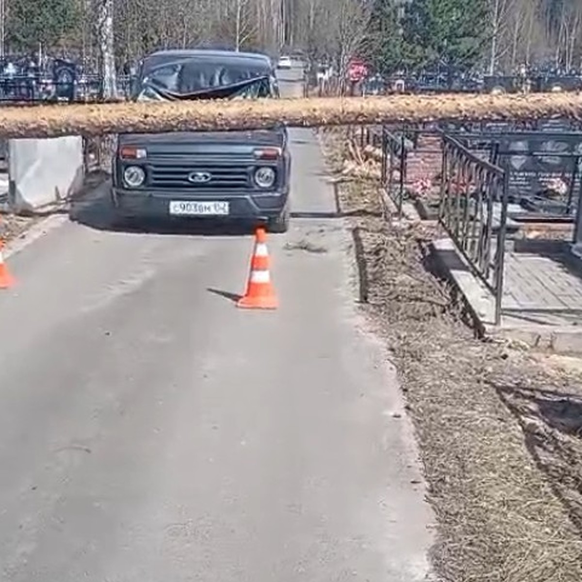 Водителю изрезало руки»: Рухнувшая сосна едва не раздавила машину с людьми  на кладбище в Сарове - KP.RU