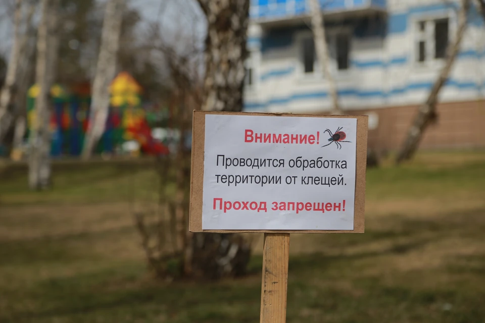 Для эффективной обработки специалисты ждут, пока полностью растает снег и установится теплая погода