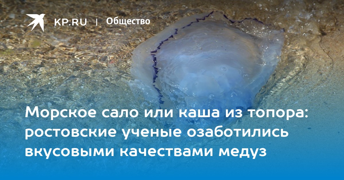 Чем опасно черное море. Медузы в Азовском море. Медузы черного моря. Ожог медузы Азовское море. Медузы в Анапе.